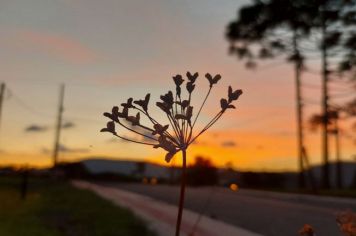 Foto - CAMPANHA PAULO FRONTIN 69 ANOS - DECLARE SEU AMOR!