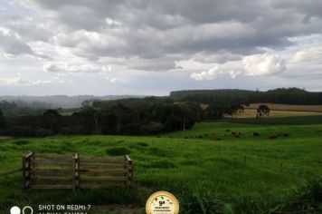 Foto - CAMPANHA PAULO FRONTIN 69 ANOS - DECLARE SEU AMOR!