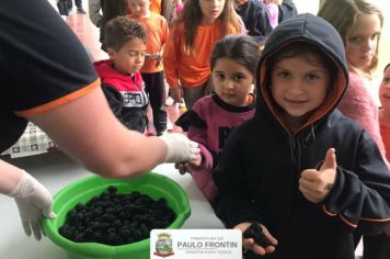 ALIMENTAÇÃO DE QUALIDADE NAS ESCOLAS