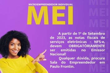 MICROEMPREENDEDOR INDIVIDUAL